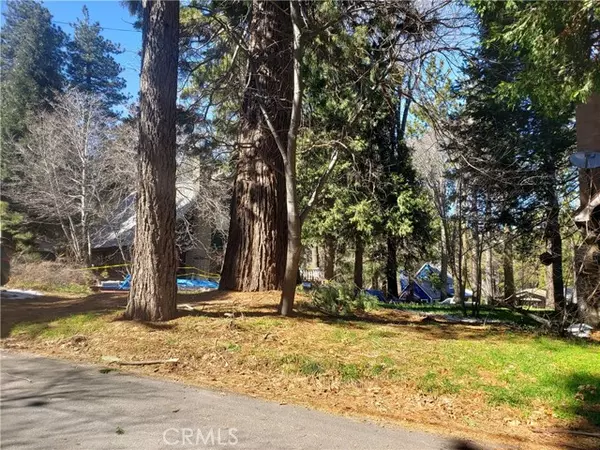 Crestline, CA 92325,22886 Azalia Lane