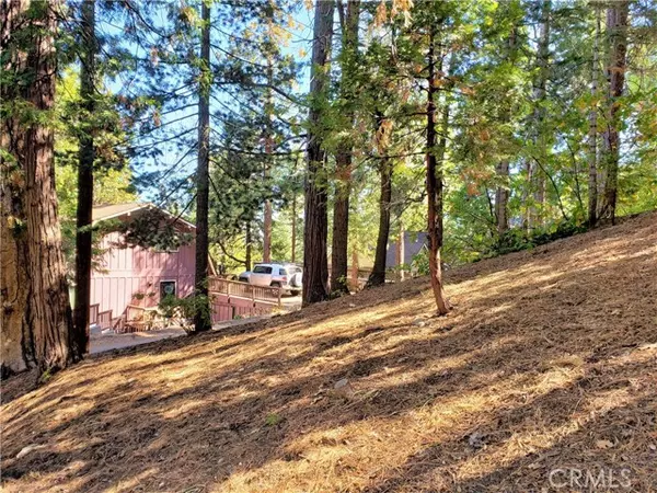 Lake Arrowhead, CA 92352,330 Castle Gate Road