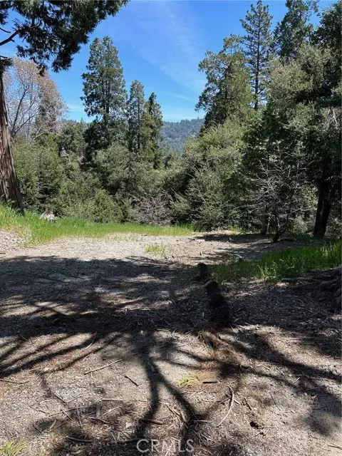 Crestline, CA 92325,1039 Jungfrau Drive