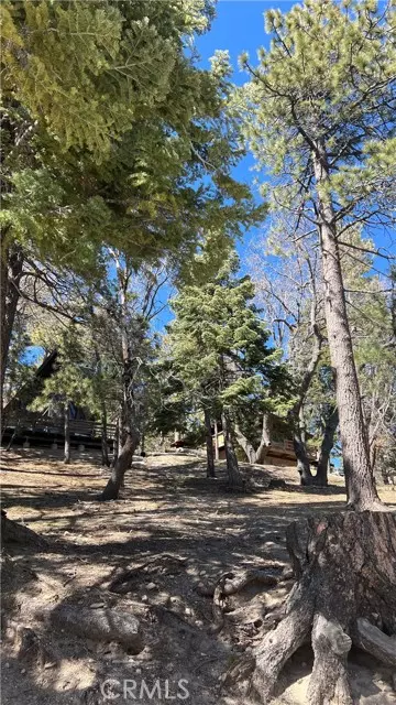 Forest Falls, CA 92339,40904 Spruce Drive