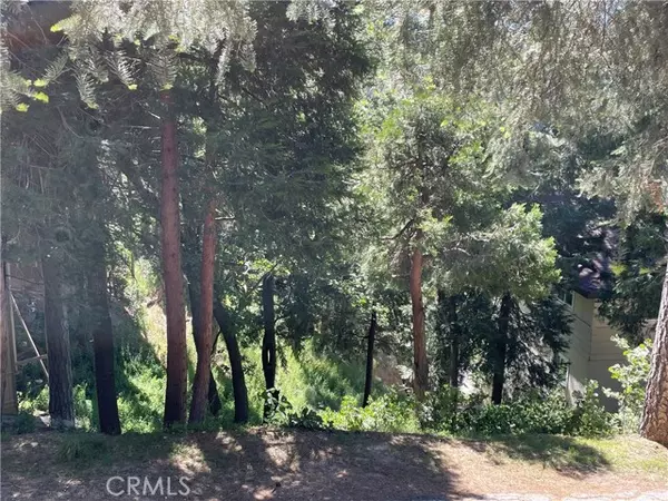 Lake Arrowhead, CA 92352,0 West Victoria Court