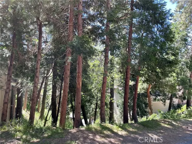 Lake Arrowhead, CA 92352,0 West Victoria Court