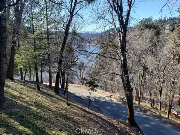 Crestline, CA 92325,24697 San Moritz Drive