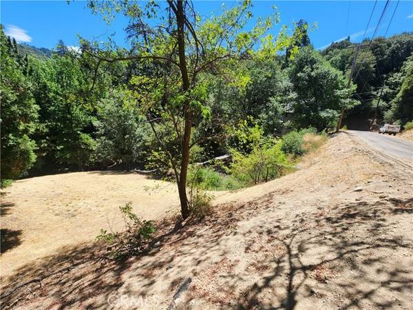 24814 Edelweiss Drive, Crestline, CA 92325