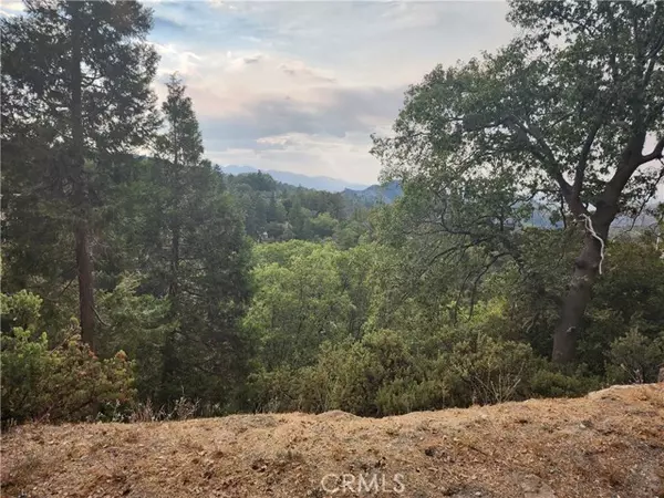 Lake Arrowhead, CA 92352,0 Evergreen Lane