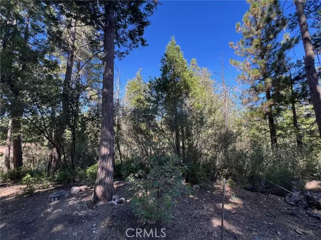 27530 North Bay Road, Lake Arrowhead, CA 92352