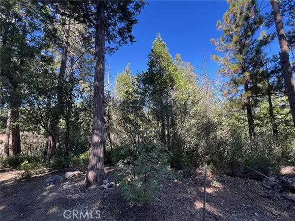 27530 North Bay Road, Lake Arrowhead, CA 92352