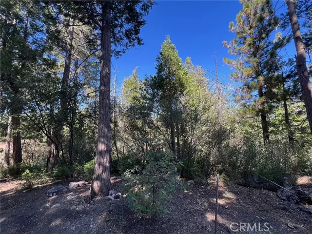 Lake Arrowhead, CA 92352,27530 North Bay Road