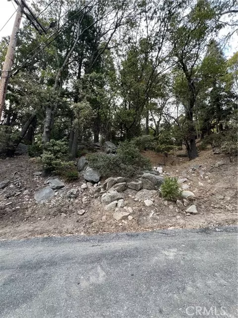 Lake Arrowhead, CA 92352,26272 Thunderbird Drive