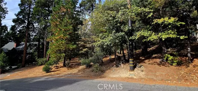 308 Pioneer Road, Lake Arrowhead, CA 92352