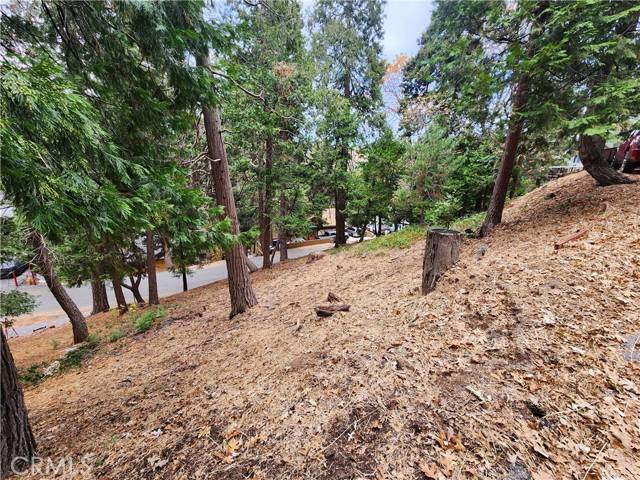 Crestline, CA 92325,0 Horst Drive