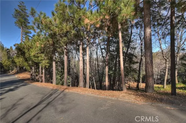 Lake Arrowhead, CA 92352,0 Lucerne Lane