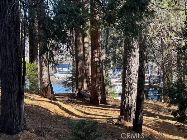 Lake Arrowhead, CA 92352,187 Cedar Circle