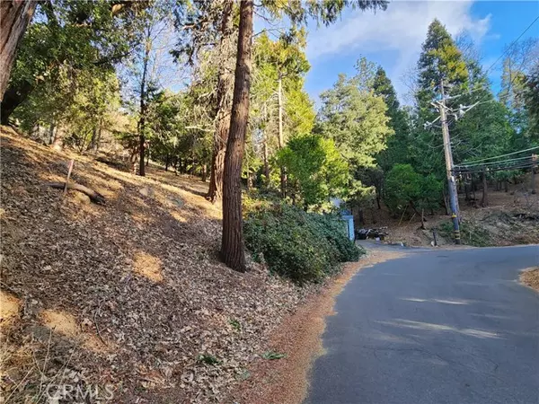 Crestline, CA 92325,0 Basel Drive