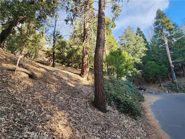 Crestline, CA 92325,0 Basel Drive