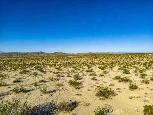 Joshua Tree, CA 92252,1962 Bourland Pass Road