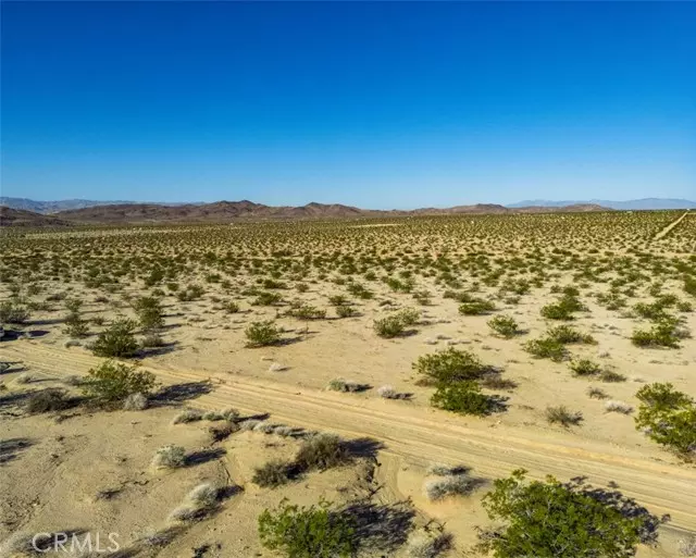 Joshua Tree, CA 92252,1962 Bourland Pass Road