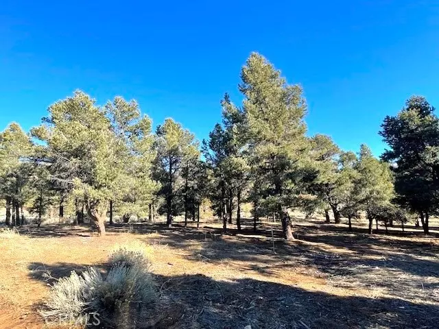 0 Falling Springs Road, Baldwin Lake, CA 92314