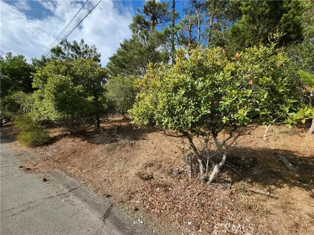 Cambria, CA 93428,0 Norwich Avenue