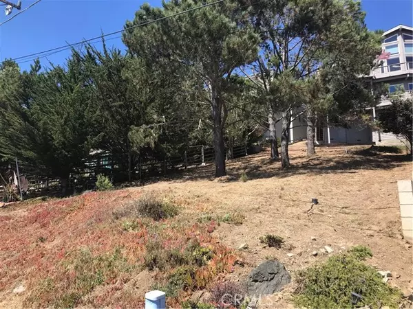 Cambria, CA 93428,0 Canterbury Lane