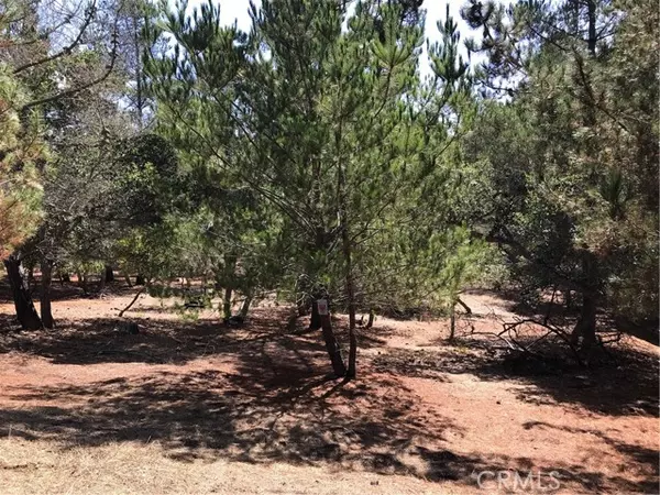 Cambria, CA 93428,0 Tully Place