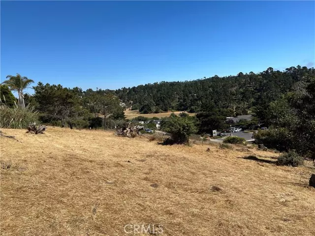 Cambria, CA 93428,4925 Grove Street