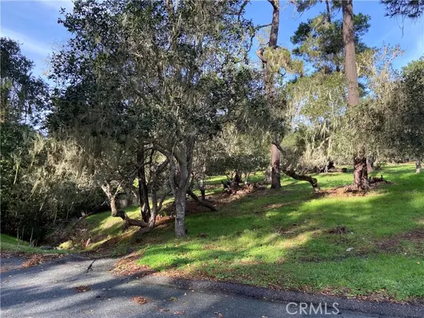 Cambria, CA 93428,0 Kenneth