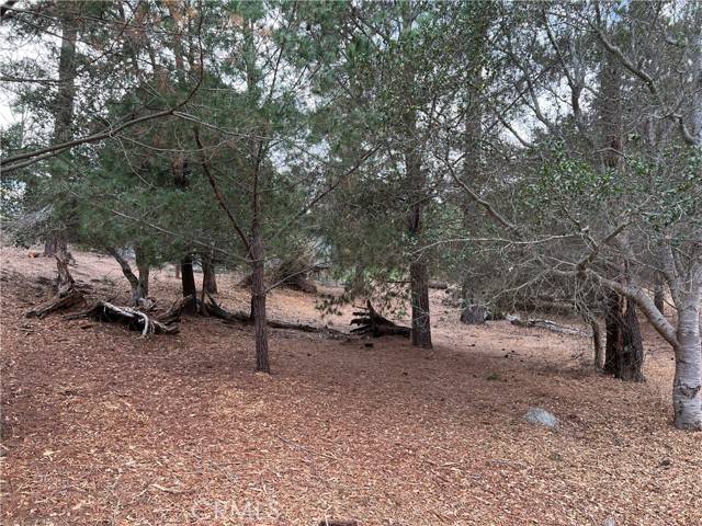 Cambria, CA 93428,1925 Arliss Drive