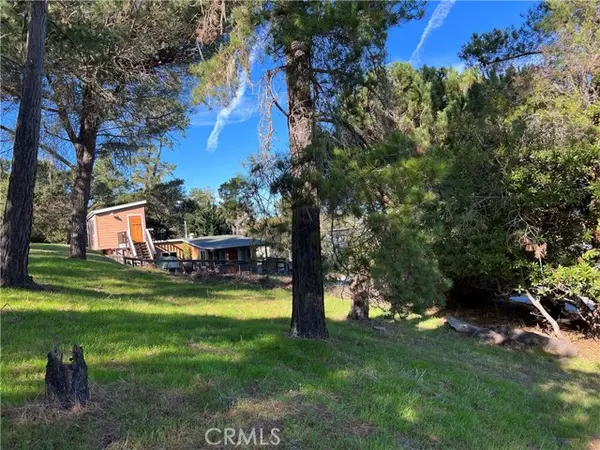 Cambria, CA 93428,0 Mccabe Drive