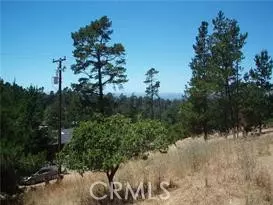 Cambria, CA 93428,1650 Pierce