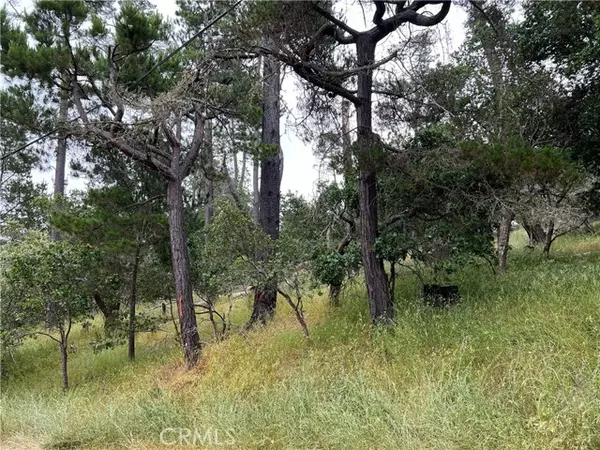 Cambria, CA 93428,0 Norton Lane