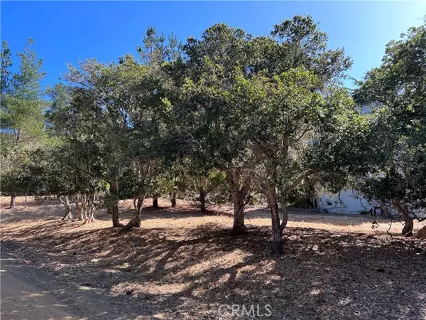 Cambria, CA 93428,2080 Wales Road