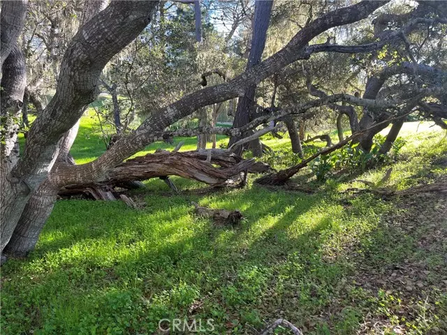 Cambria, CA,3 Astor Avenue