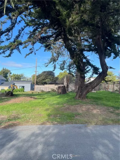 Cambria, CA 93428,0 Blythe Place