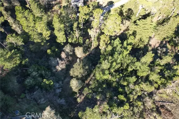 Cambria, CA 93428,0 Gleason Street