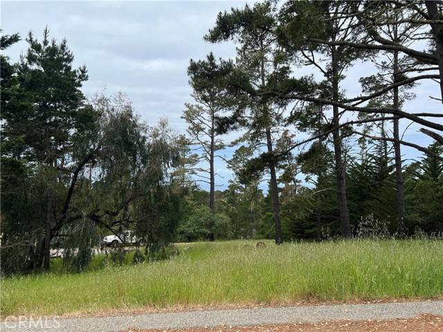 0 Bradford Road, Cambria, CA 93428
