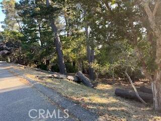 Cambria, CA 93428,0 Bradford Road