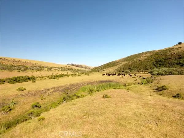 Cayucos, CA 93430,0 Ca-1