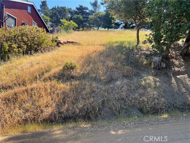 Cambria, CA 93428,0 Pierce Avenue