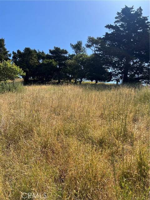 Cambria, CA 93428,0 Pierce Avenue