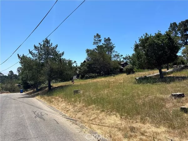 Cambria, CA 93428,0 Pineridge Drive