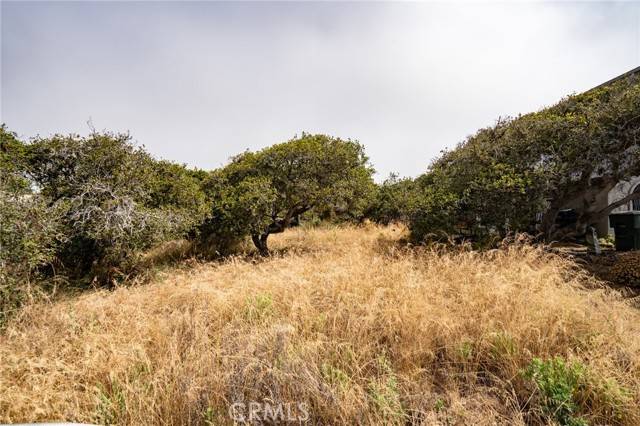 Los Osos, CA 93402,0 Ash Street