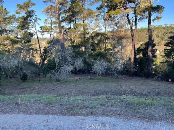 Cambria, CA 93428,3235 Rogers