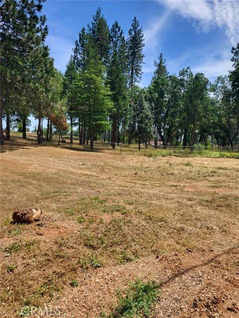 Paradise, CA 95969,1610 Sawpeck Way