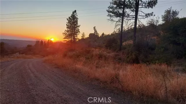 Oroville, CA 95965,12059 Andy Mountain Road