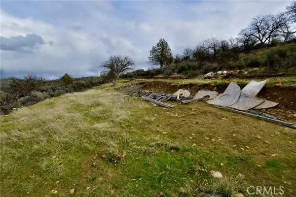 Hornbrook, CA 96044,0 Rooster