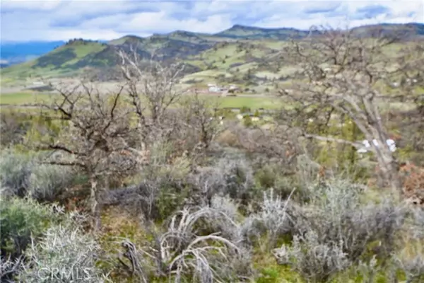 Hornbrook, CA 96044,0 Rooster