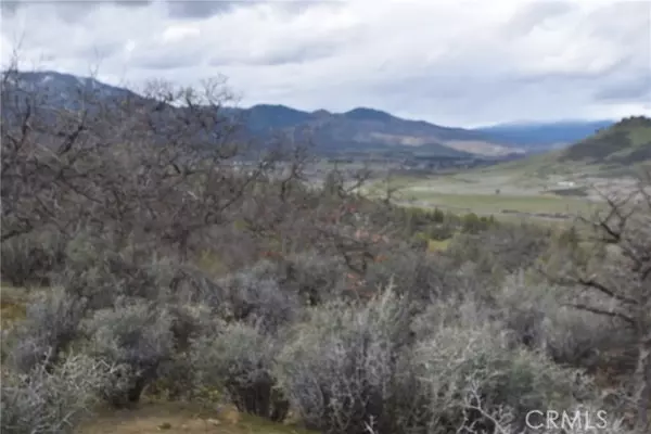 Hornbrook, CA 96044,0 Rooster