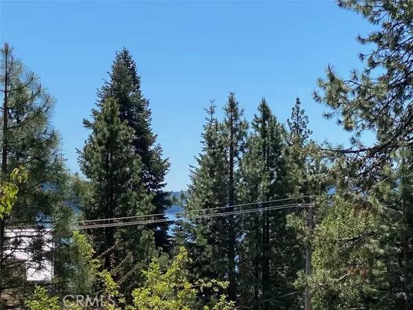 Lake Almanor, CA 96137,173 Peninsula Drive