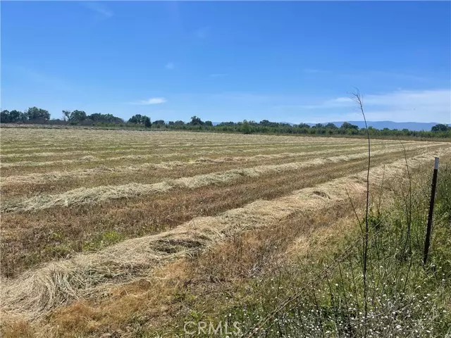 Gerber, CA 96035,0 Reno Avenue